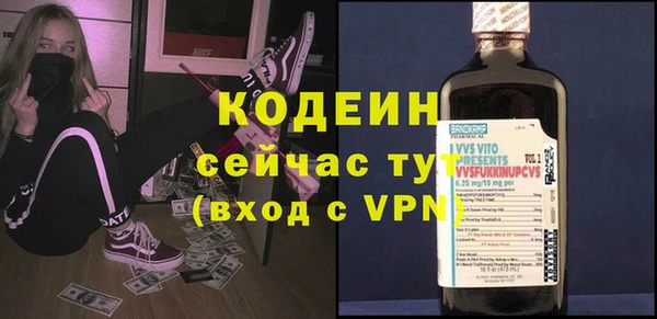 индика Дмитровск