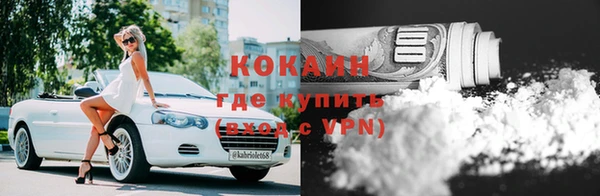 прущая мука Дмитриев