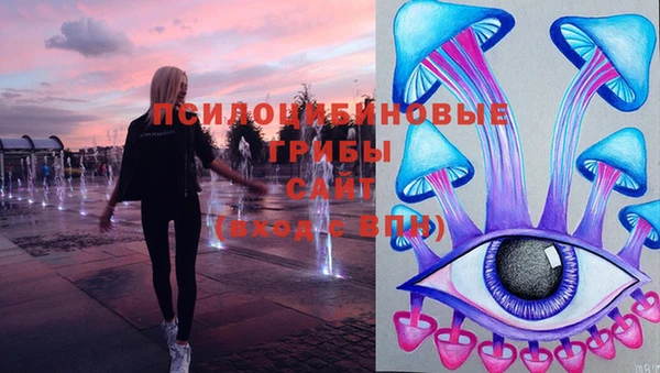 прущая мука Дмитриев
