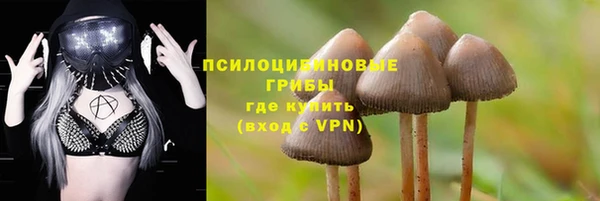 индика Дмитровск