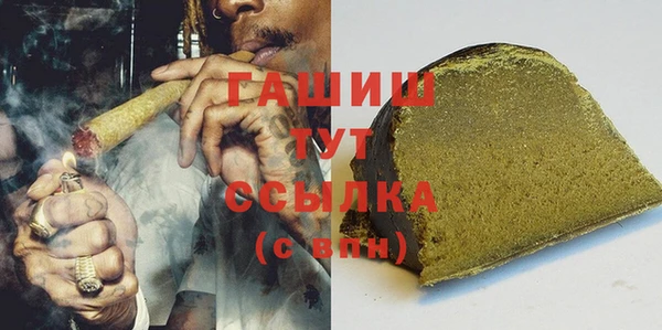 индика Дмитровск
