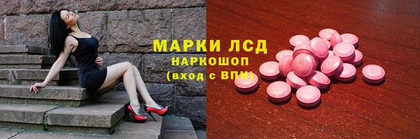 трава Гусев