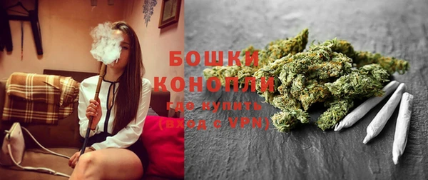 трава Гусев
