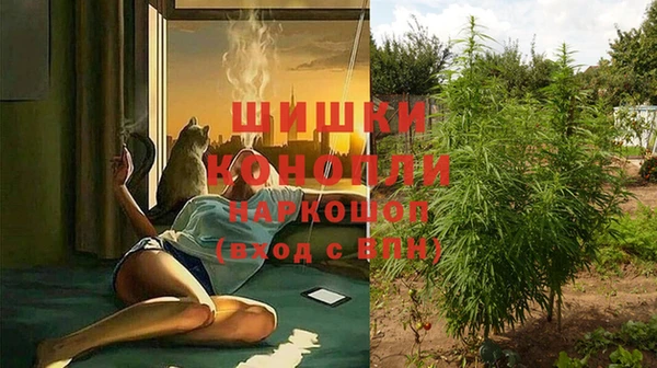 индика Дмитровск