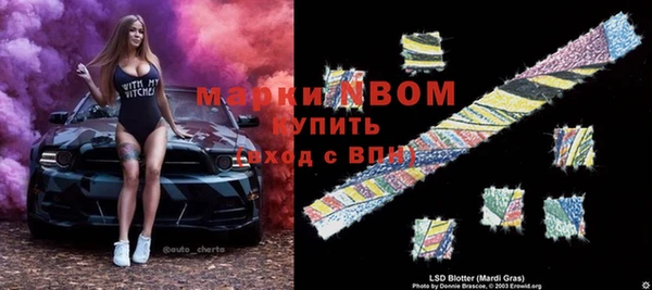 индика Дмитровск