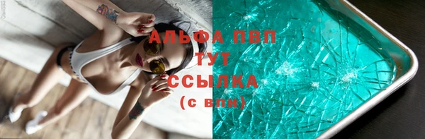 индика Дмитровск