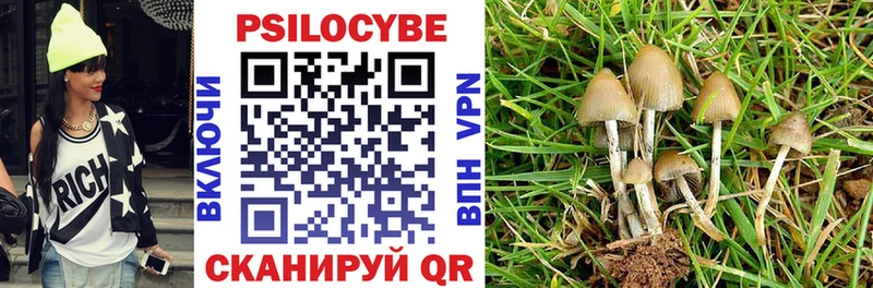 Псилоцибиновые грибы Psilocybine cubensis  Москва 